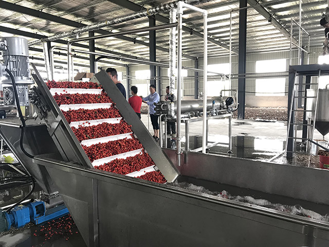 水果加工前原果怎樣儲藏？